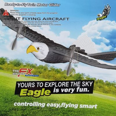 405mm Simulación de la envergadura de las alas del águila voladora Avión 2.4g Avión de control de radio para el entretenimiento