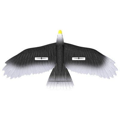 3 Led Light Easy Play 56cm Epp Material Electric Rc Eagle Glider con control remoto para todo el mundo