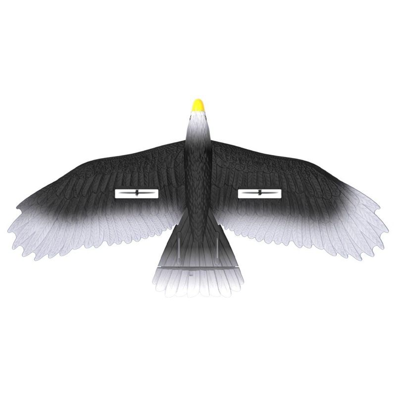 3 Led Light Easy Play 56cm Epp Material Electric Rc Eagle Glider con control remoto para todo el mundo